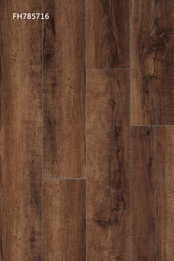 Sequoia - Image 2