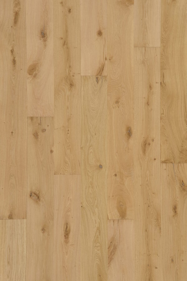 Canvas - Image 2