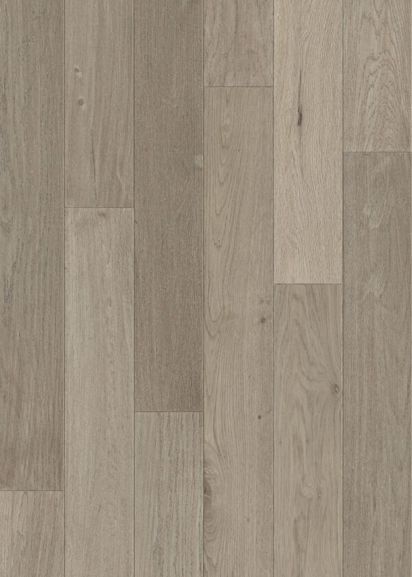 Timber Trail Alpine - Image 2