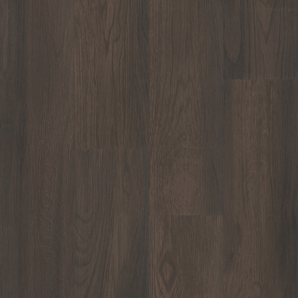 Anthem - BANNER Swatch