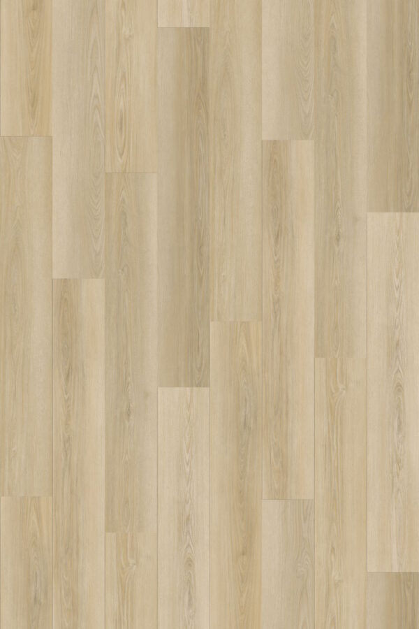 Inception 200 VECTOR RoomScene