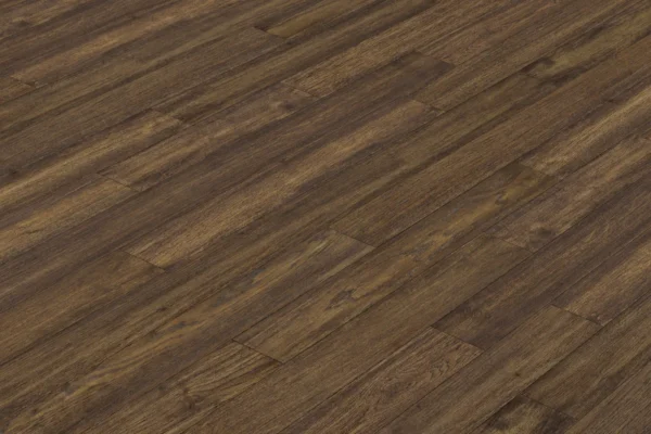 Mocha - Image 3