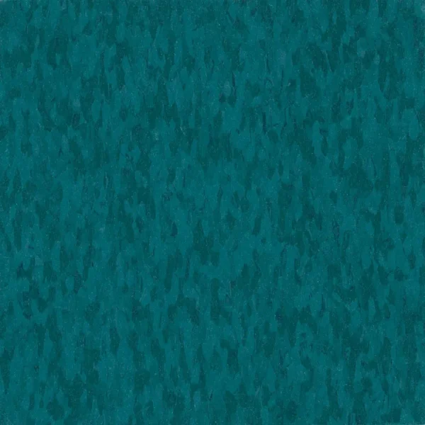Shoreline - Image 2
