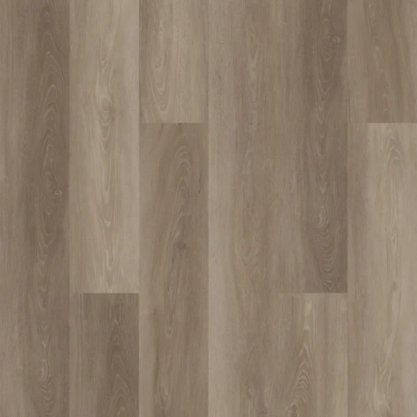 Canvas LG - Image 2