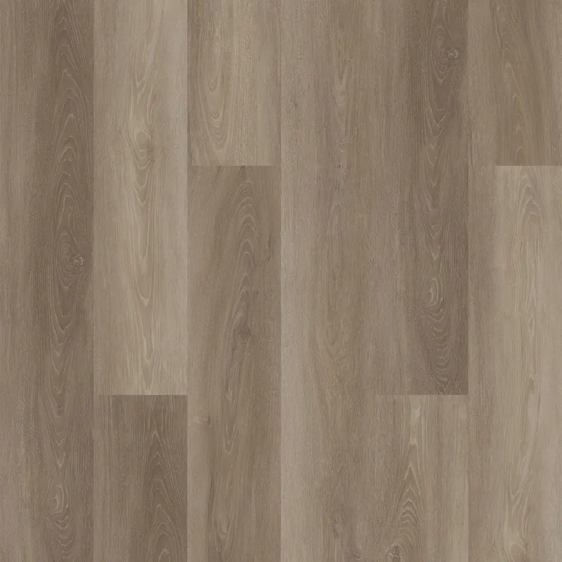 Grandstand - Canvas LG Swatch