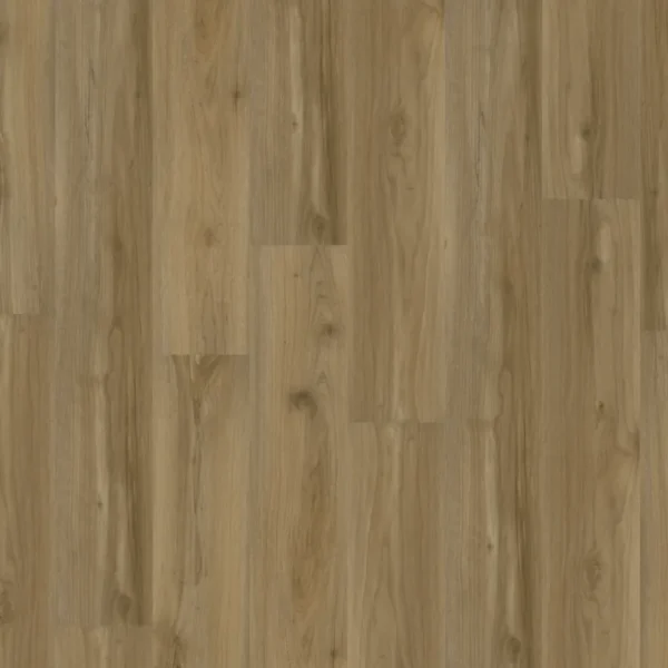 Backbone - Image 2