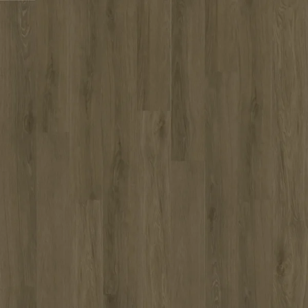 Casa - Image 2