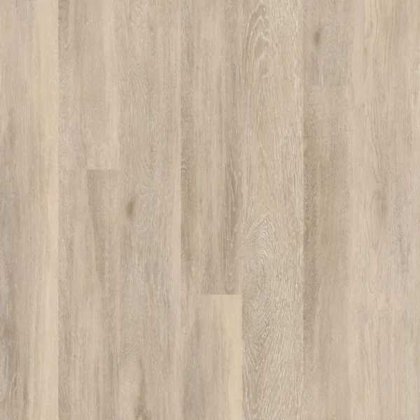 Paloma - Image 2