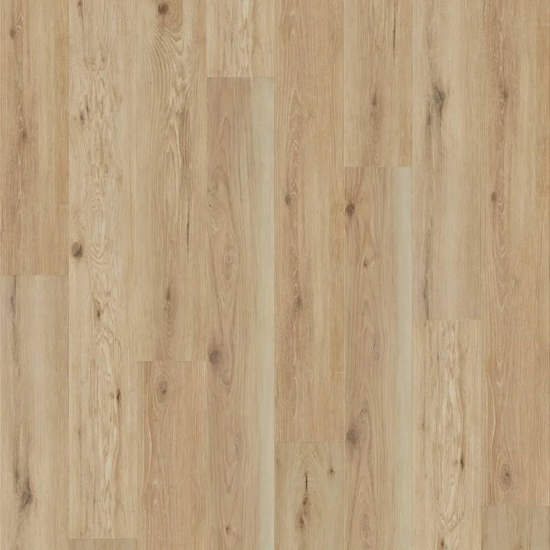 Momentum - Force Swatch