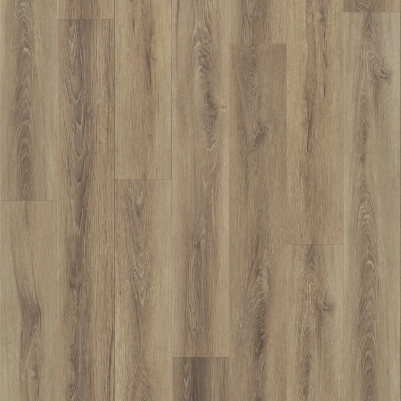 Momentum - Acceleration Swatch