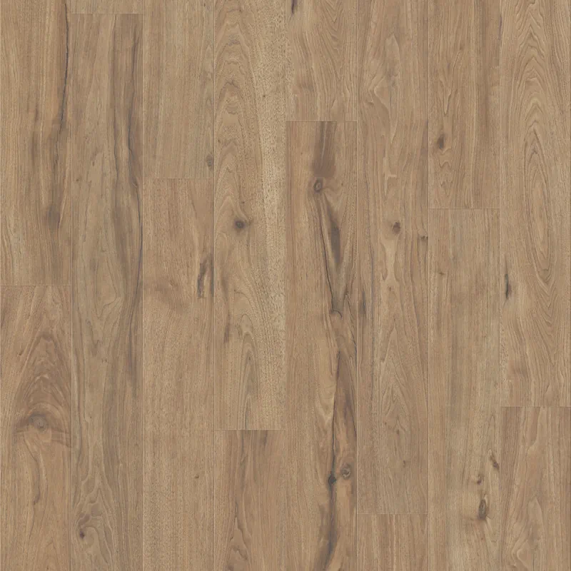 Momentum - Energy Swatch