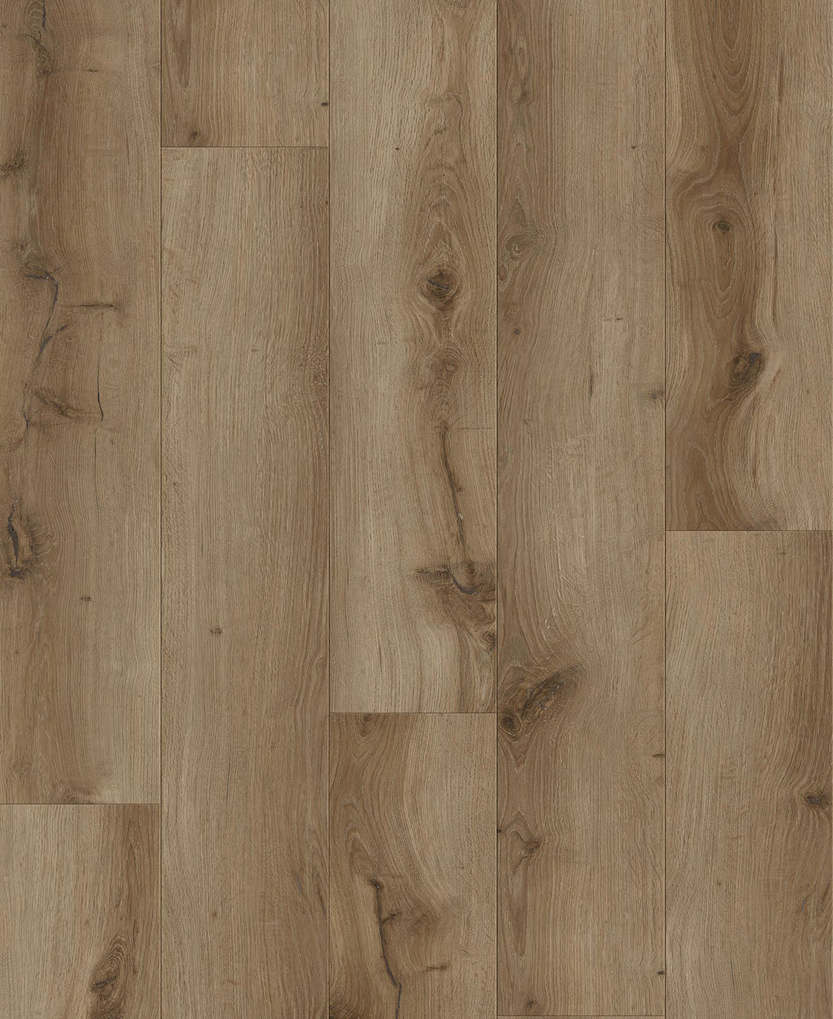 Succession - Crown Swatch