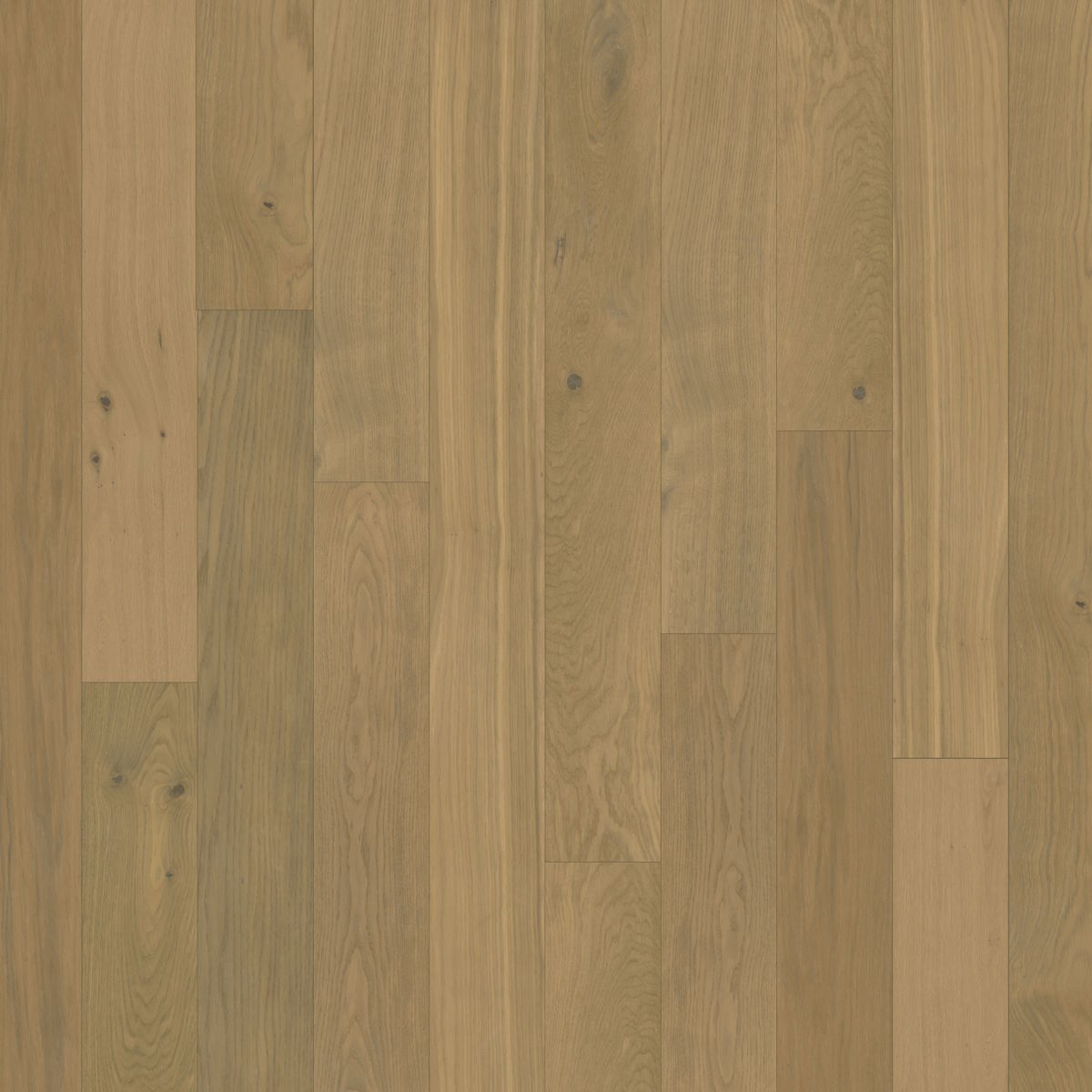 Backlands Smooth - Helotes Swatch