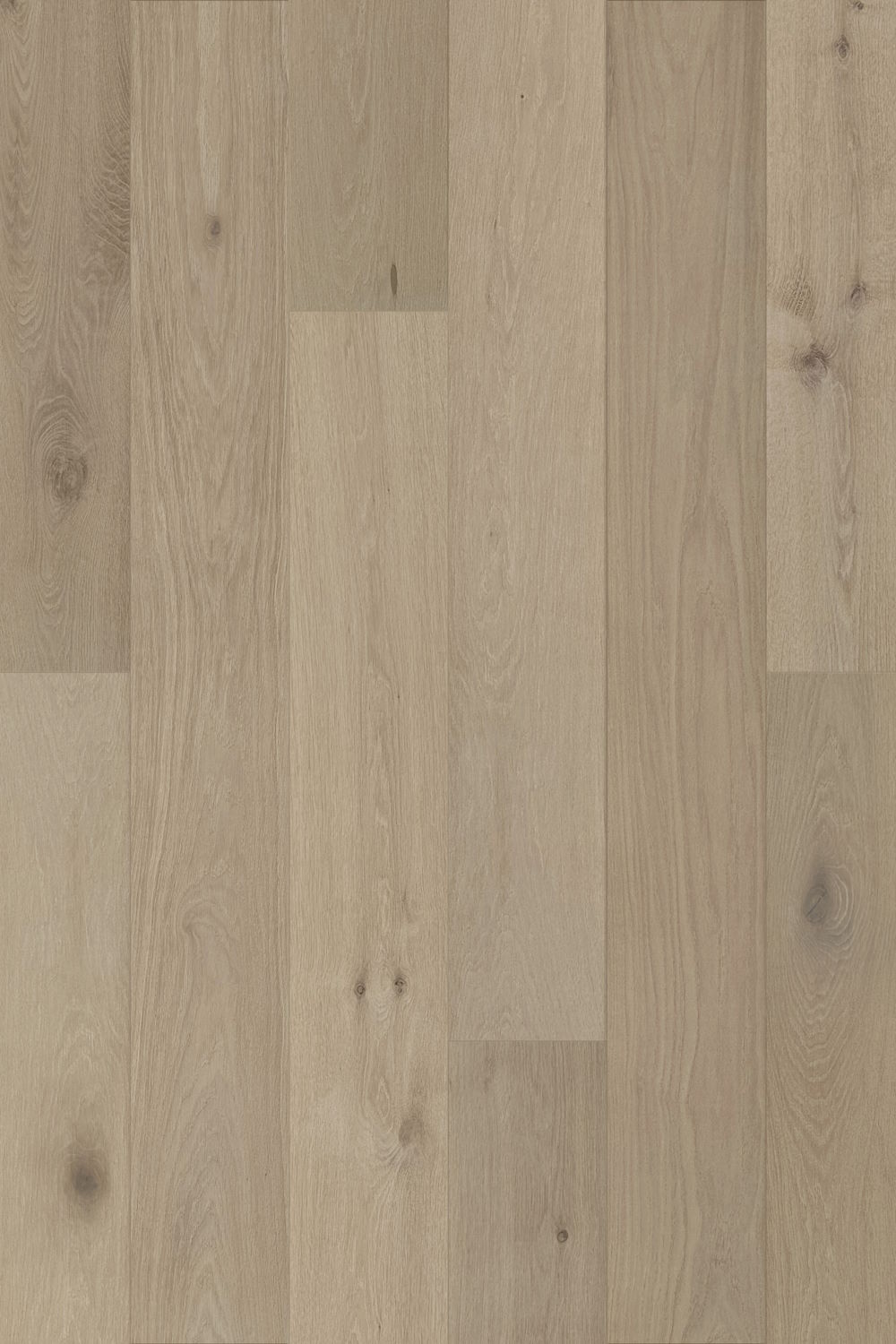 Palisade - Chateau Blanc Swatch