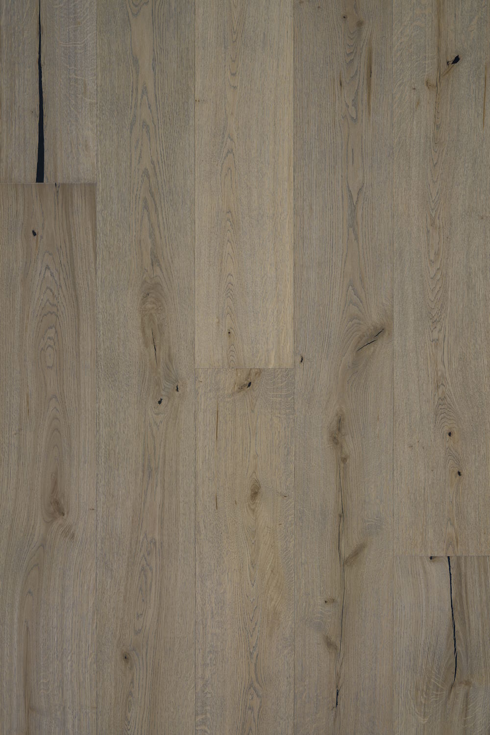 Casita - Caliza Swatch