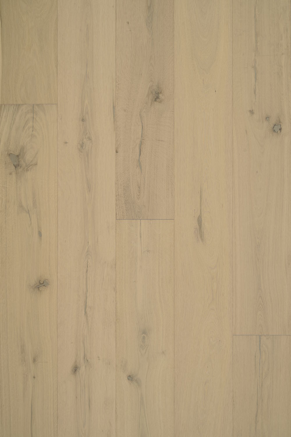 Casita - Sierra Swatch
