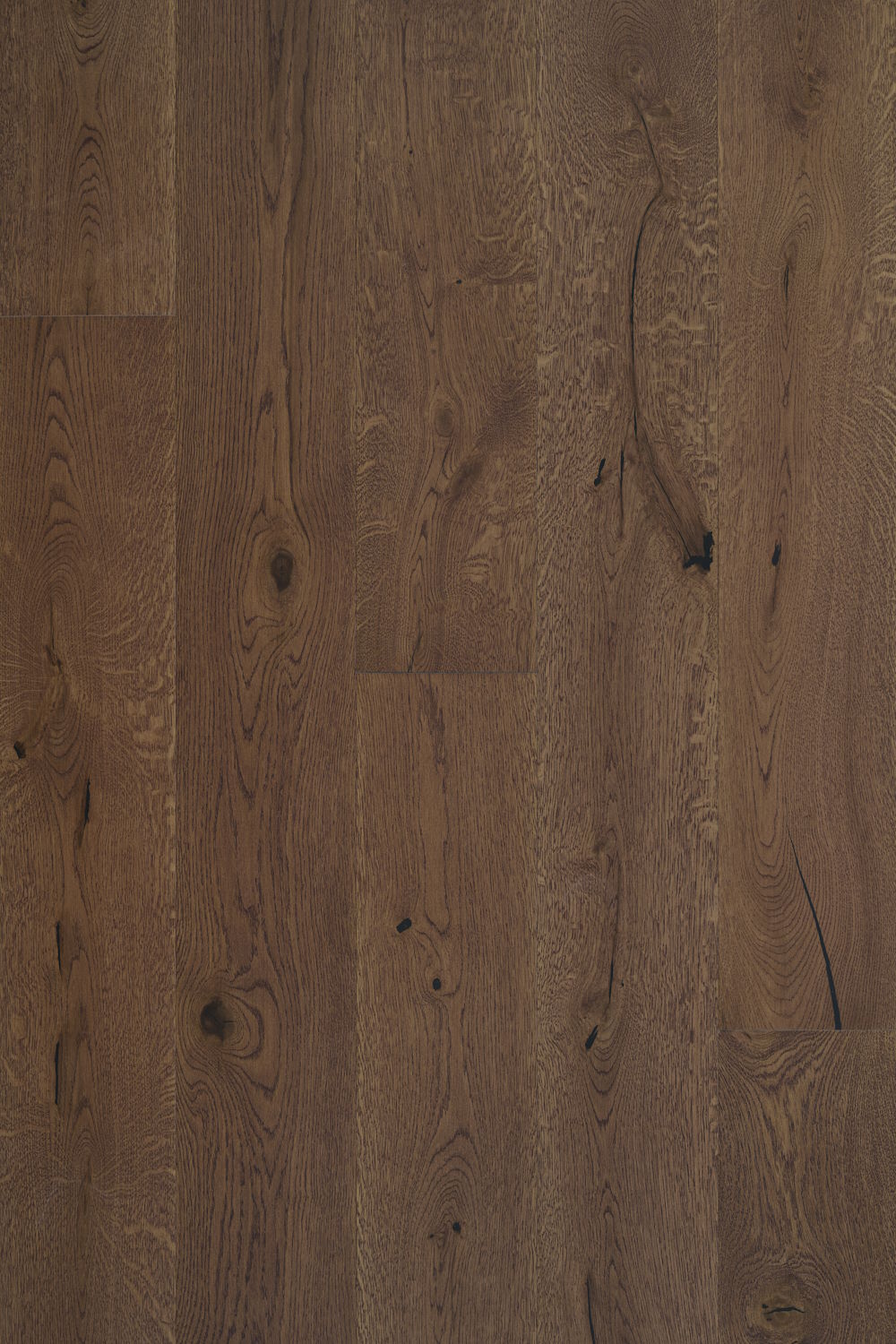 Casita - Adobe Swatch