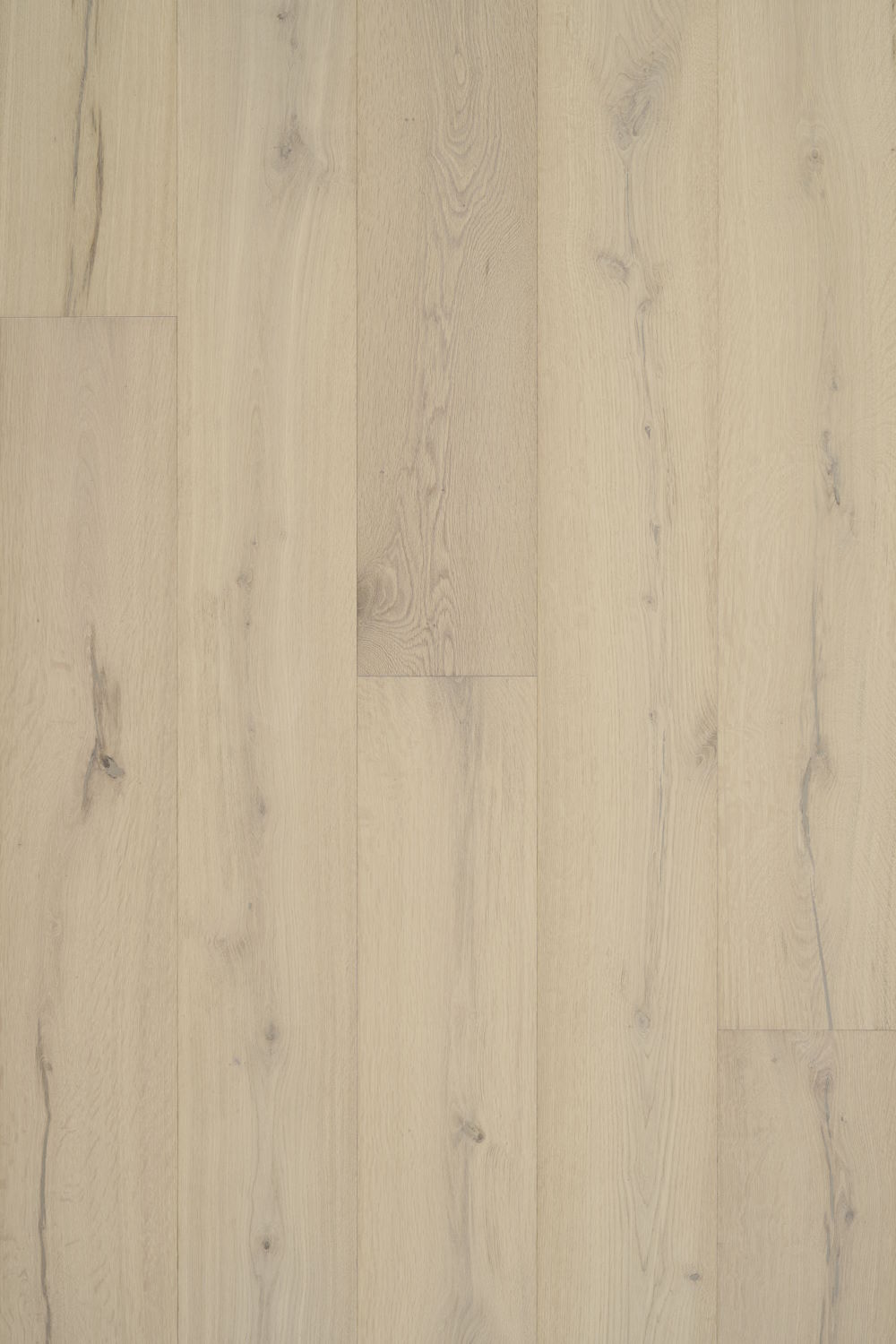 Casita - Sandstone Swatch